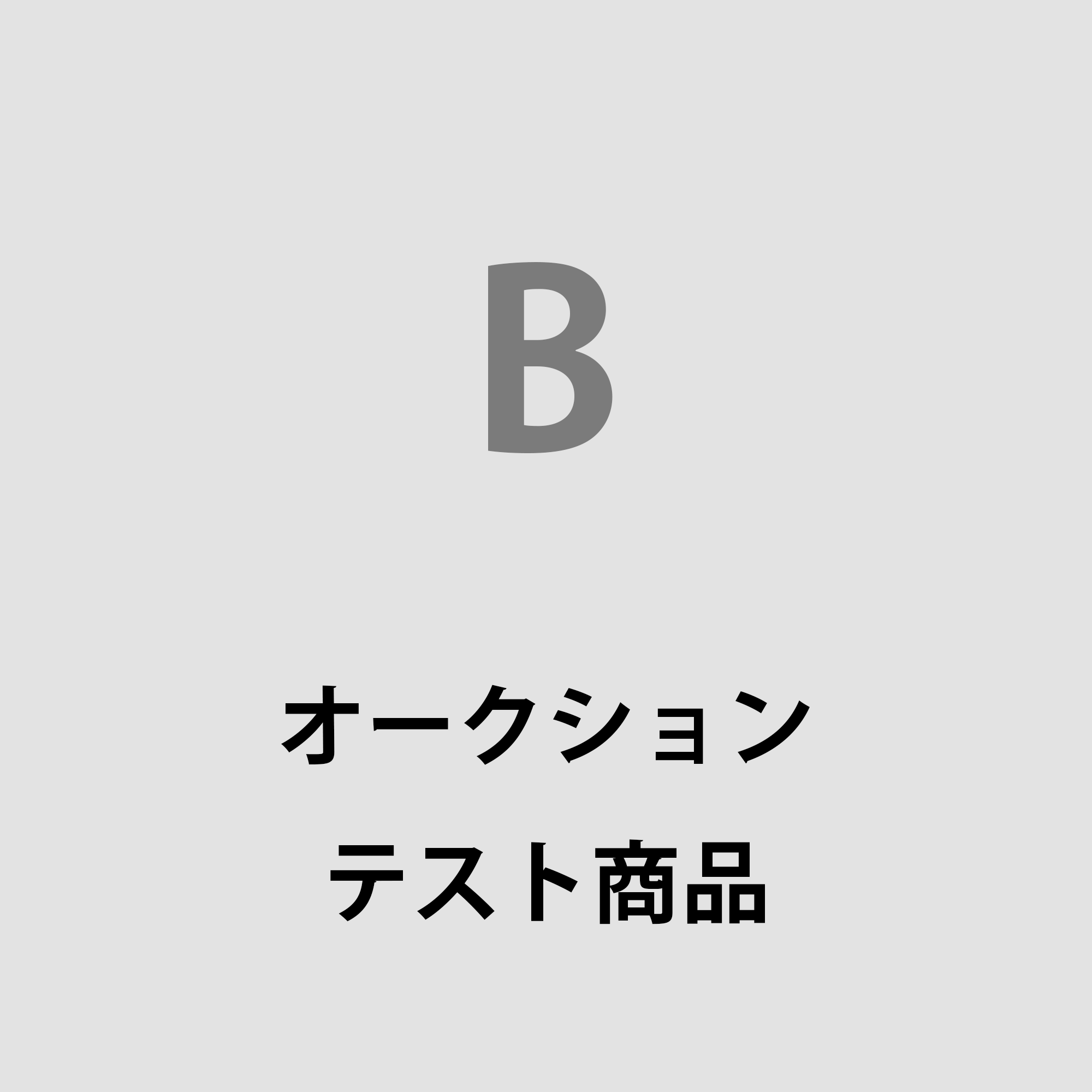 オークション - テスト商品（B）