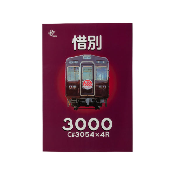 惜別3000 車両パンフレット
